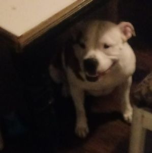 Meet your Posher, Kassie